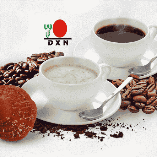 Venta de cafe organico con ganoderma