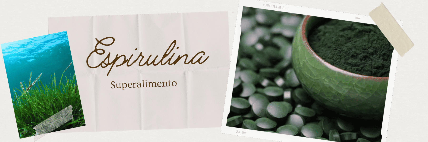 Venta de espirulina en Puebla