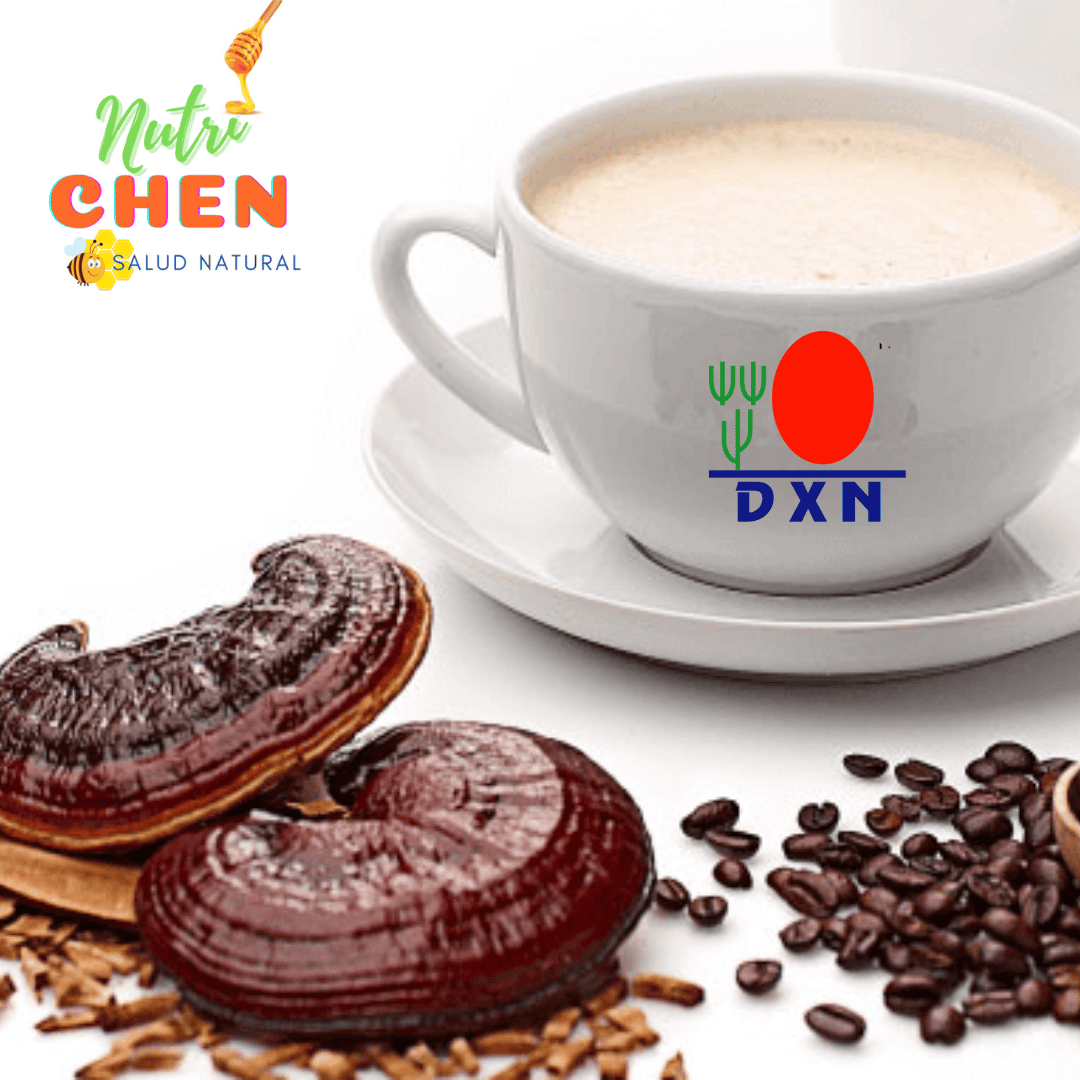 Cafe Lingzhi 3en1 con Ganoderma DXN