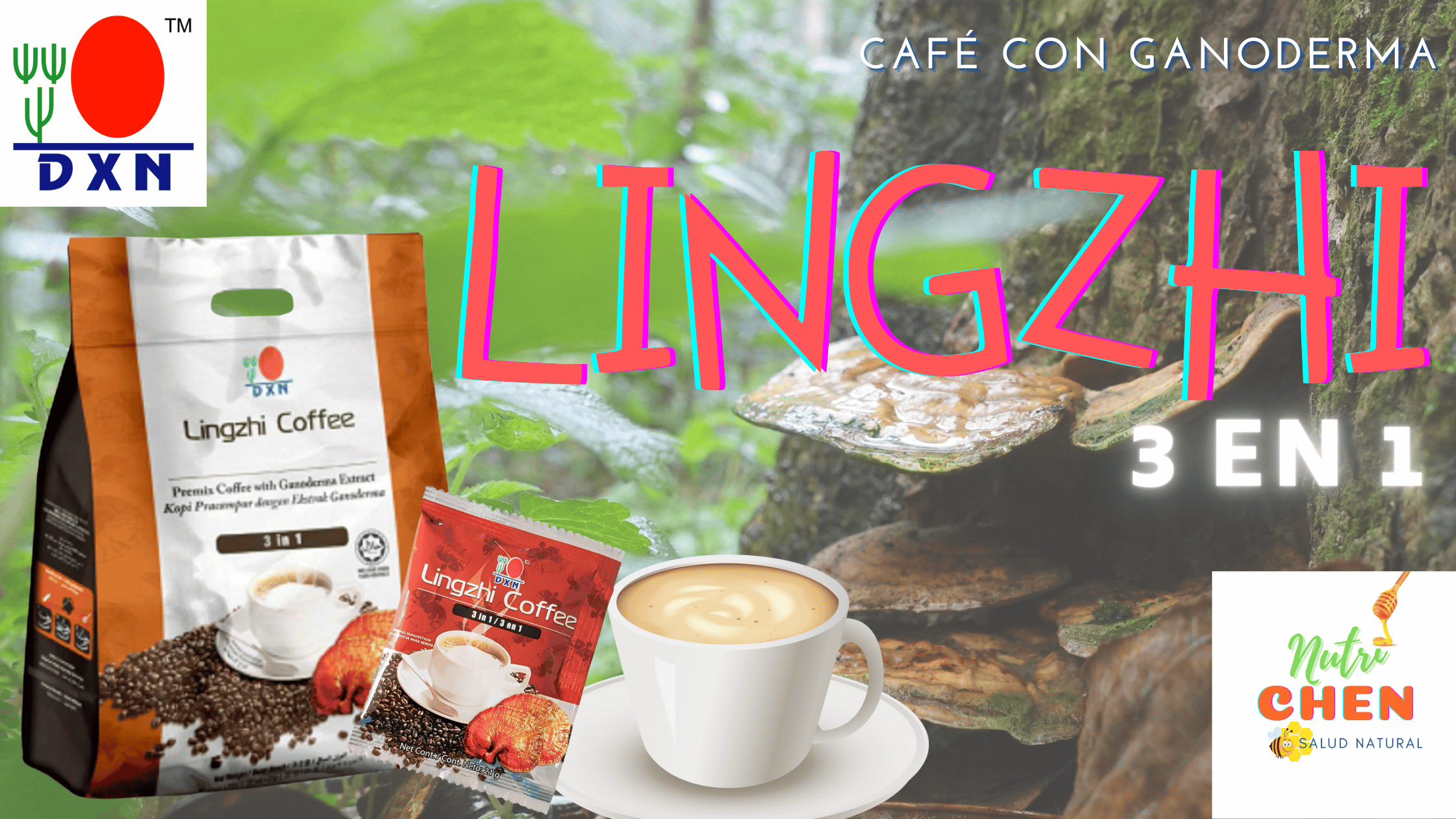 Cafe con Ganoderma 3 en 1 DXN en Puebla