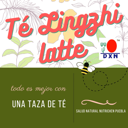 Venta de Te Lingzhi Latte DXN