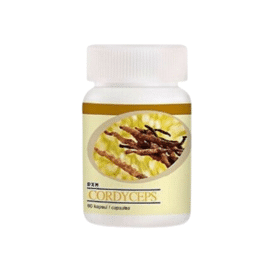 Cordyceps Capsulas